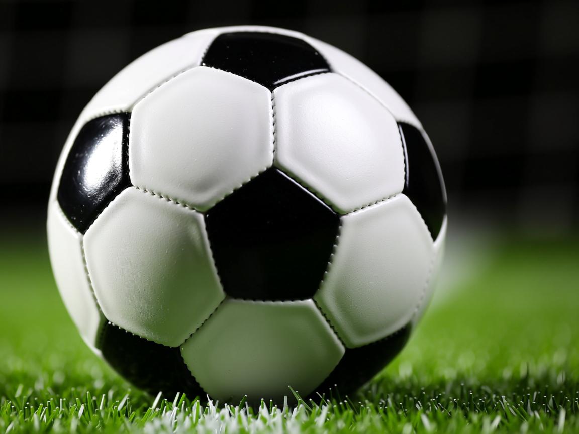 九游体育-加拿大乒乓队未来发展：如何通过增加海外交流提升队员水平，2021加拿大乒乓球选手