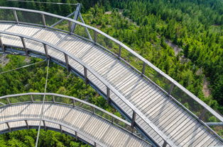 九游官网入口下载-“飞盘：三叉湖赛场飞扬，速度与技巧成就精彩”  第2张